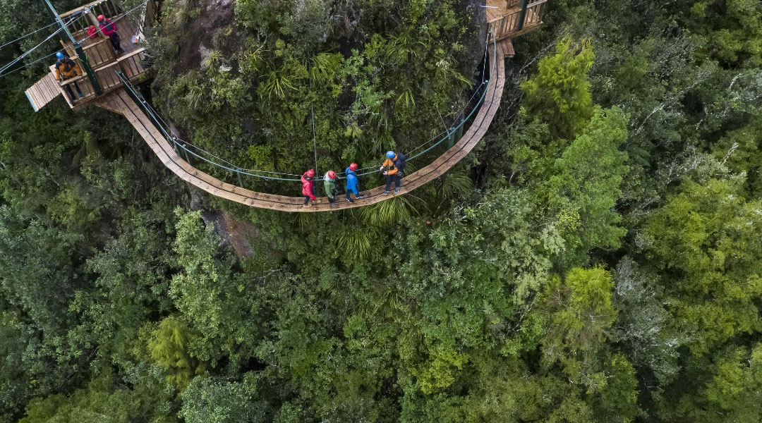 tb-canopy.jpg